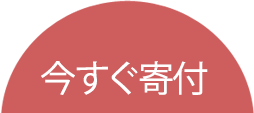 今すぐ寄付